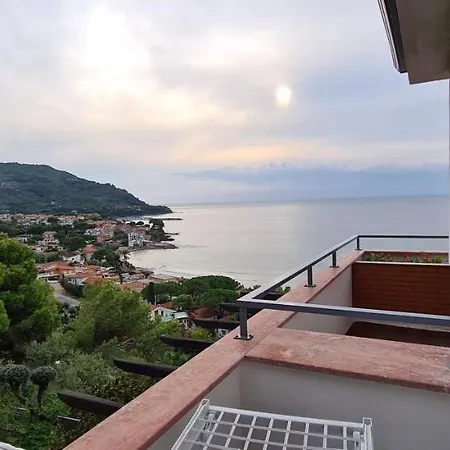Wild Cilento